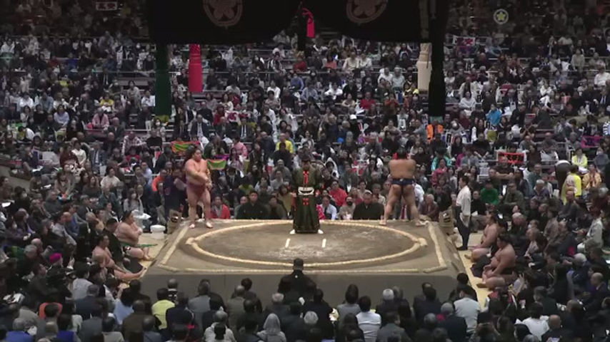 Daieisho x Takayasu, kainahineri